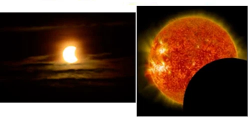 FREE 2ND DAY SHIPPING YOU CAN STILL GET IT IN TIME FOR THE ECLIPSE - Image 4 of 4