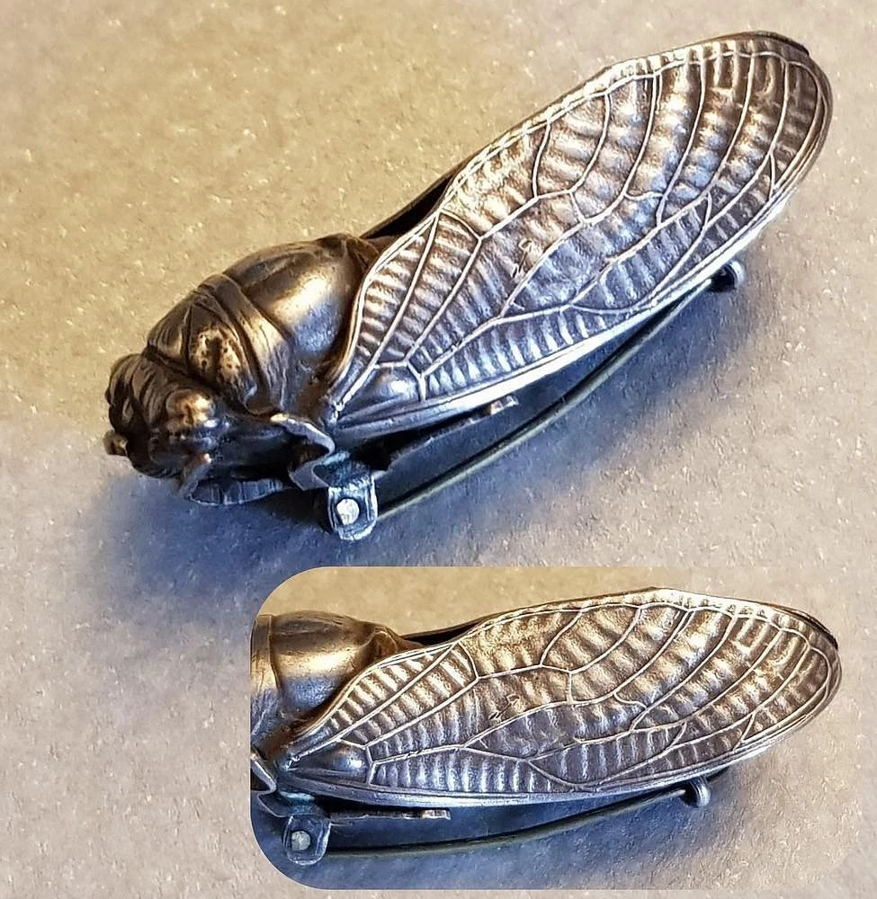 Cicada brooch best sale