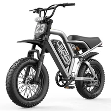 Hikeep 1500W Peak Electric Bike 16''x3 Fat tires 48V 15Ah Ebike for Teenager