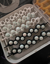 Quail Egg Racks 5 for 30 Egg MaticoopX Incubator   3D Printed Racks