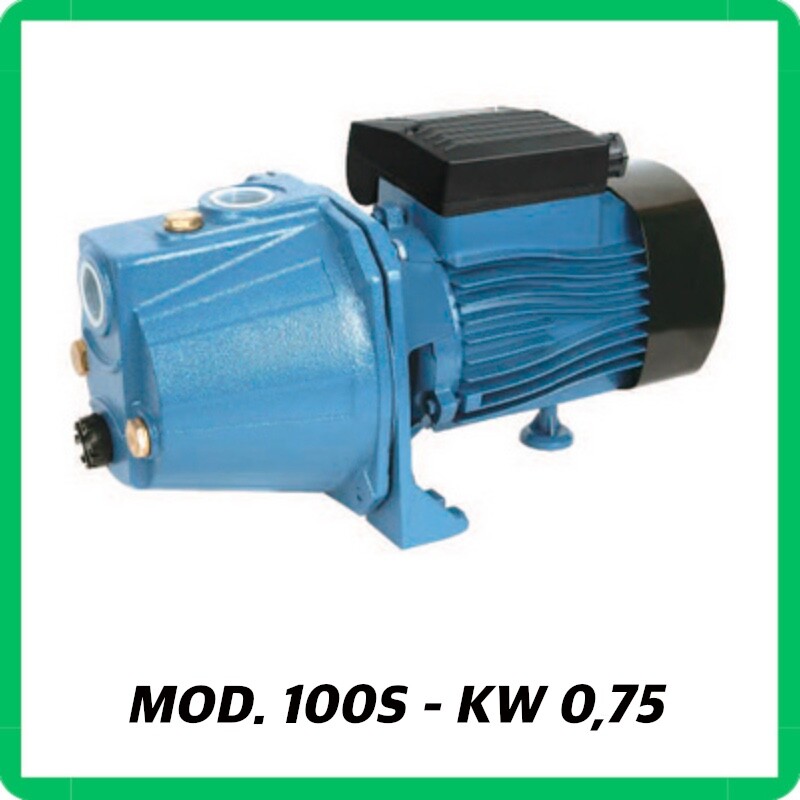 pompa per autoclave 1 HP elettropompa autoadescante acqua motore monofase 100S
