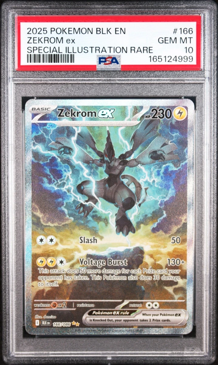 25+ Zekrom Pokémon TCG Professional Sports Authenticator (PSA