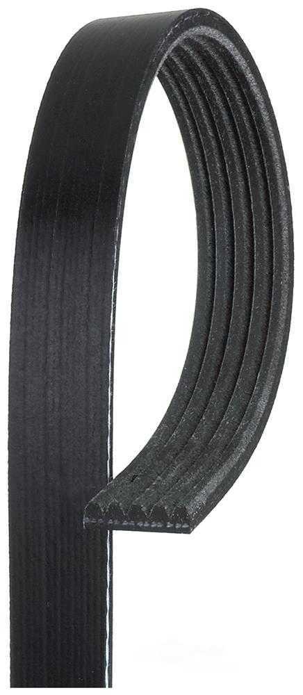 Serpentine Belt