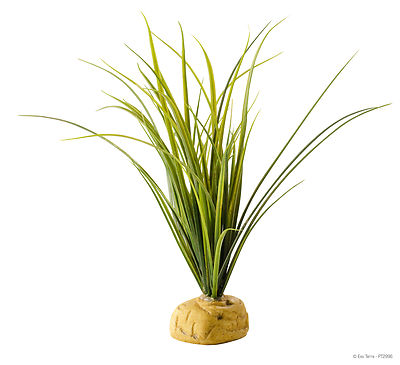 EXO TERRA TURTLE GRASS - AQUATIC GROUND PLANT