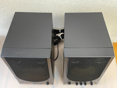Roland MA-110 STEREO MICRO MONITOR