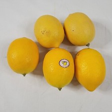 Lot Of 5 Artificial Faux Resin Lemons Realistic Home Decor Prop Staging EUC