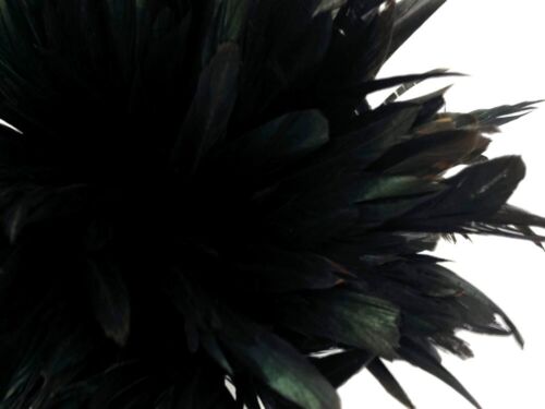 2.5 Inch Strip - Natural Black Half Bronze Coque Tail Strung Rooster Feathers - Picture 4 of 6