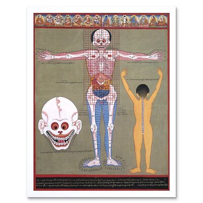 Painting Weird Ancient Asian Anatomy Scientific Strange 12X16 Inch Framed Print