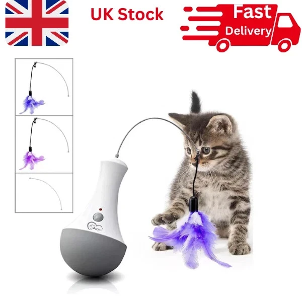 Cat Interactive Toys Funny Feather Kitten Teaser Indoor Play Automatic Toy Gift
Opens in a new windo