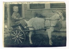 1950s Child Billy Williams Riding Goat Cart on Farm Original Photo