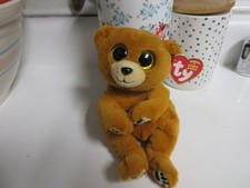 Ty Beanie Baby Boos Bellies - DUNCAN the Bear 6" NEW Stuffed Animal Plush Toy