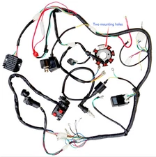Complete Electrics CDI Stator Wiring Harness Wire for 200cc 250cc QUAD Scooter