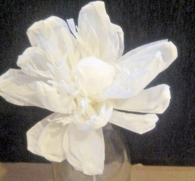 14 x  Krepprosen Krepp Papier Blumen, WEIß 10 cm, ELIT ETNO DEKORATIONEN