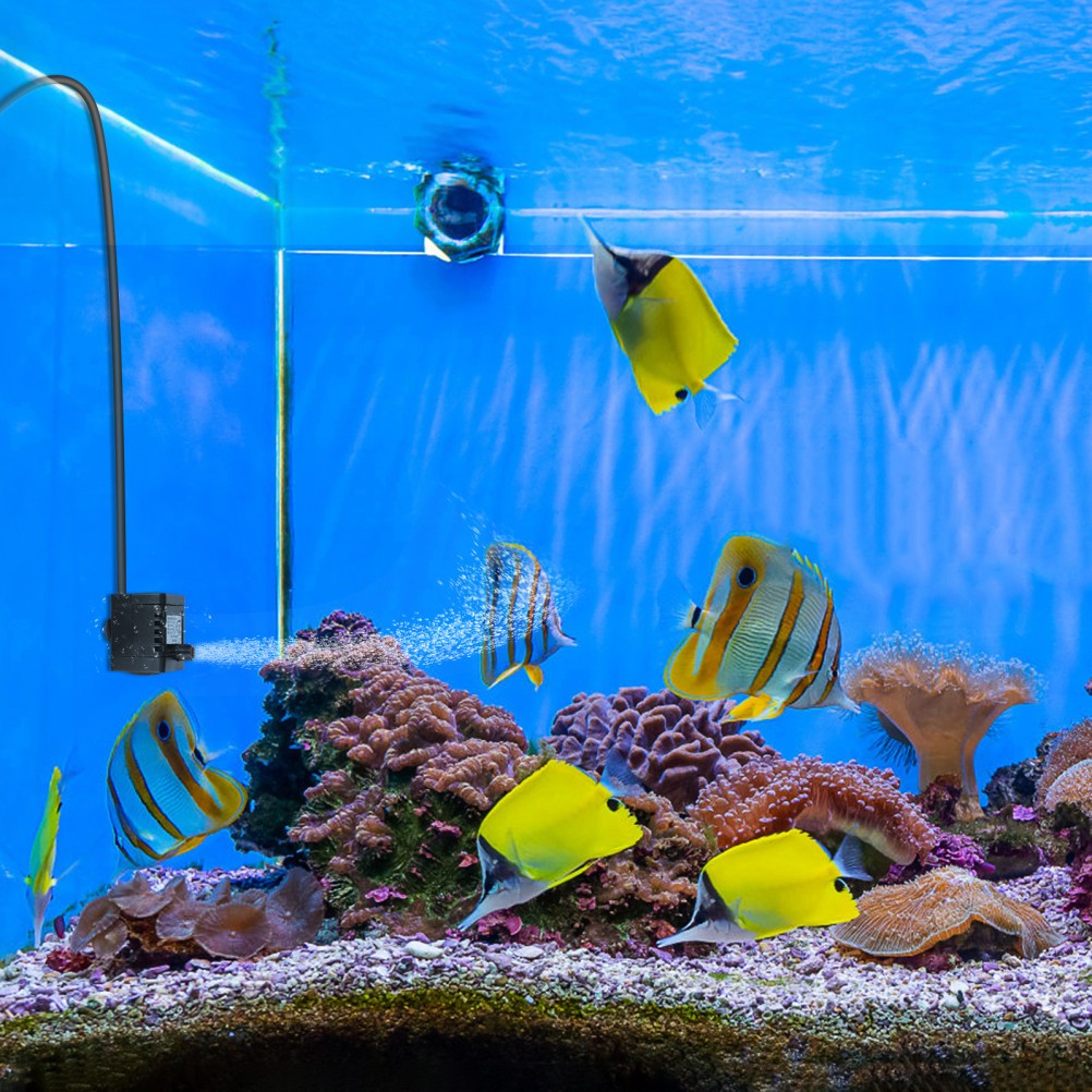 12 V250L/H Small Submersible Water Pump Aquarium Mini Fish Tank Oxygen