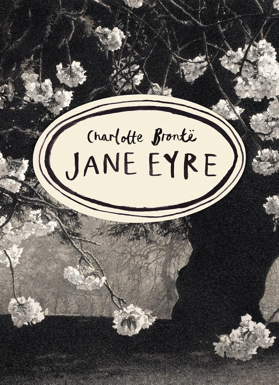 Jane Eyre (Vintage Classics Bronte Series): deluxe gift edition of Charlotte Br - Image 9