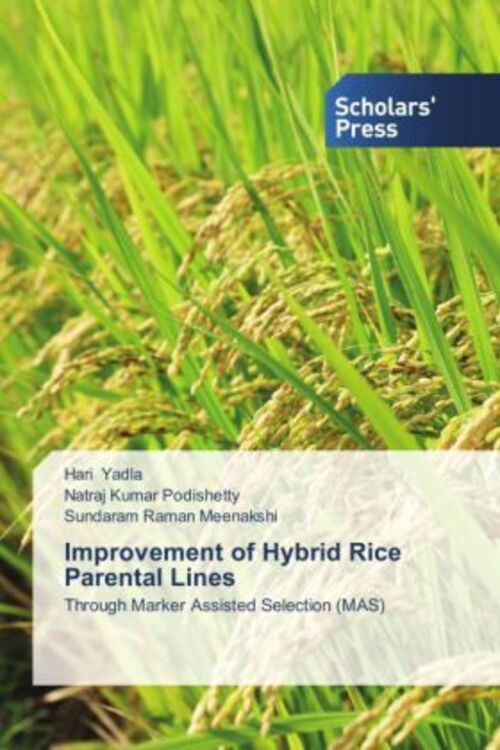 Thumbnail - Improvement Of Hybrid Rice Parental Lines Hari Yadla (u. A.)