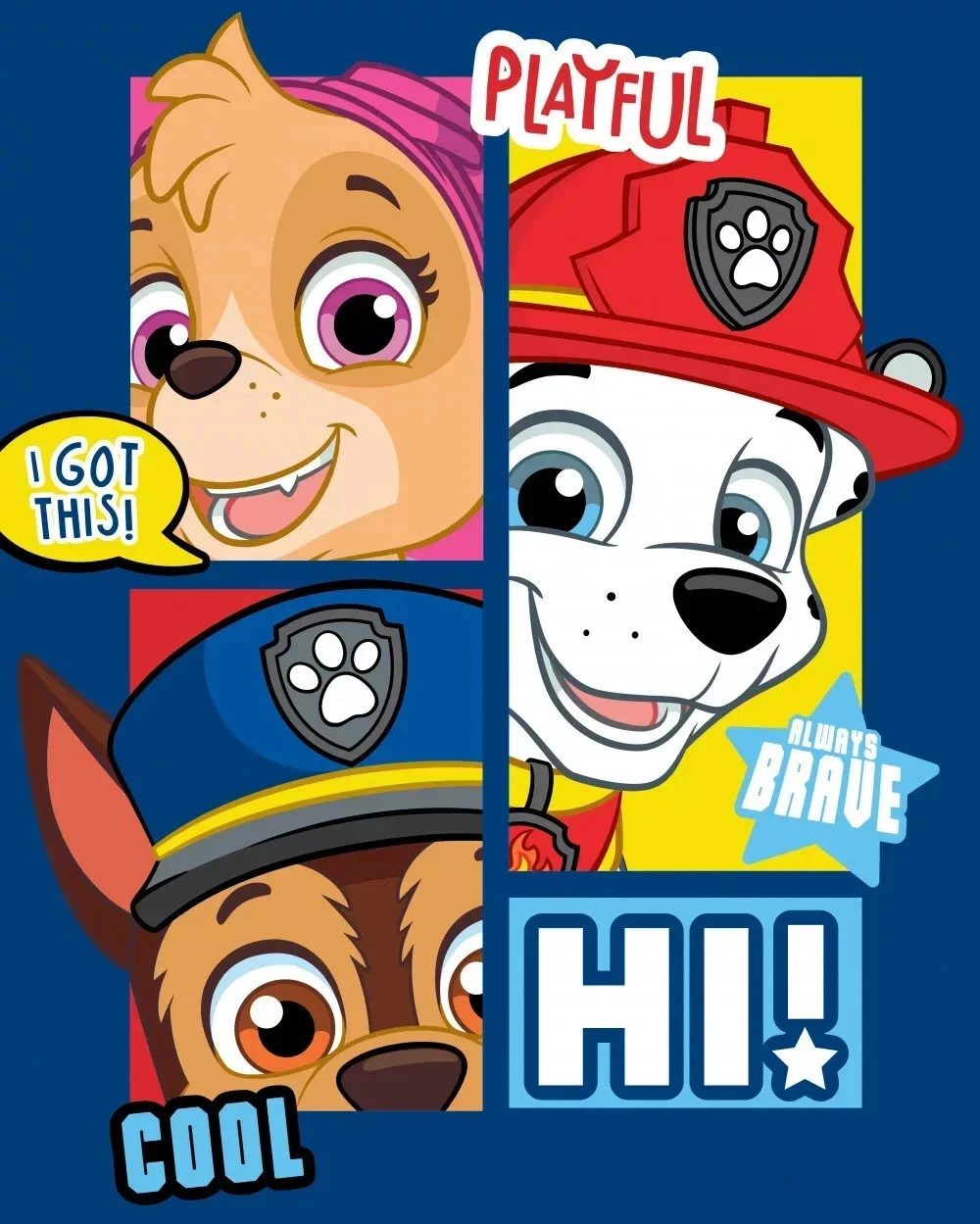 Paw Patrol Polar Fleece Blanket