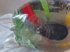 Bild 11 von 13