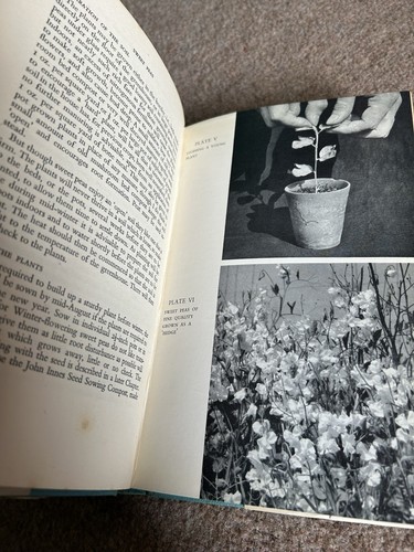 Sweet Peas for Exhibitor & Market Growers Roy Genders Vintage Hardback Book - Bild 3 von 4