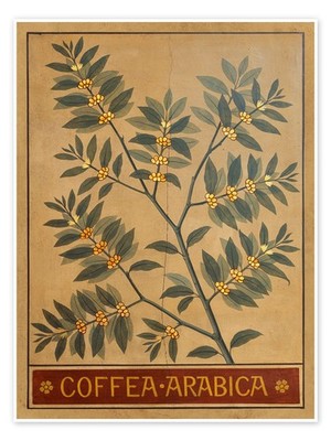 Poster Arabica-Kaffee