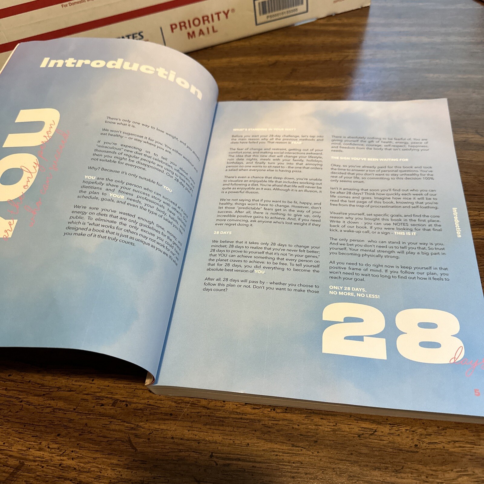 Beyond Body Wellness Book of Food Pairings and Tracking Plans VG! Clean