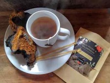 PURE CHAGA TEA: 1 Month of FULL BODY IMMUNITY, Harvested from the Adirondacks