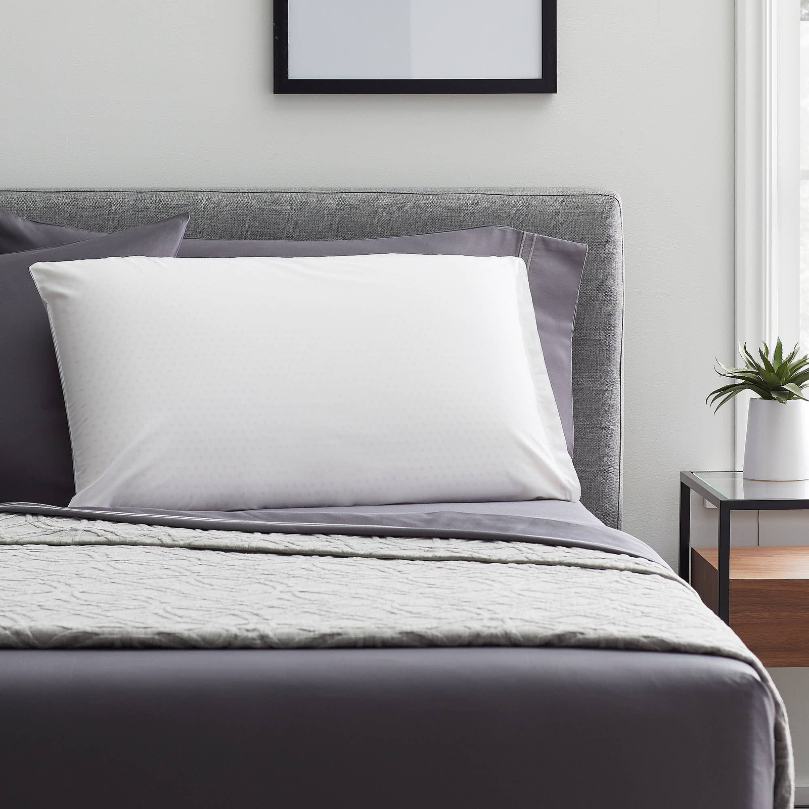 Talalay Latex Foam MidLoft Pillow, Queen, MidLoft, Rest Haven eBay