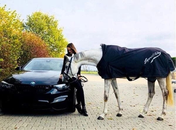 Imperial Riding Outdoordecke / Winterdecke IPRSuperdry 0-50-100-200-300 Gramm - Bild 3 von 4