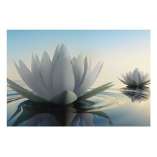 Large Wall Mural Wallpaper For Living Room Delicate Water Lilies Water Harmony