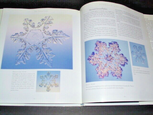 THE SNOWFLAKE : Winter's Secret Beauty | eBay