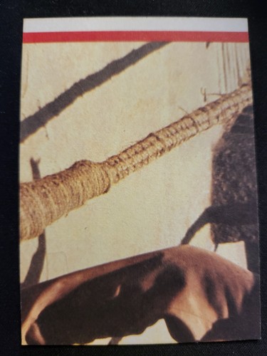 1984 Indiana Jones Temple Doom Sticker Card #4 No Escape Ford - Picture 2 of 2