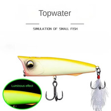 Fishing Lures Topwater Popper 11G 16.5G Floating Rock Pop Artificial Hard Baits