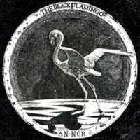 Black Flamingo - An-Nur - Vinyl Record - K4Z