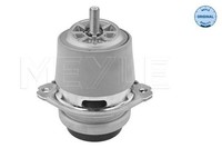 Meyle 100 199 1190 Lagerung, Motor Links Rechts FüR VW