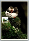 Canada 2014 Canadian Wildlife Puffin FDC Maxi Card