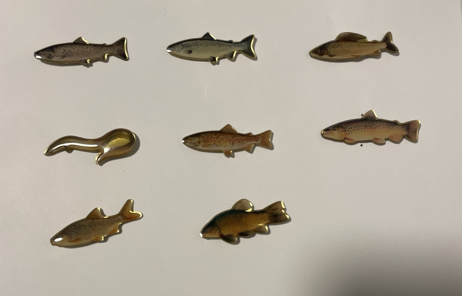 Fisch Pin Anstecker Forelle Schleie Aal Angeln Dam Set 8x nadel
