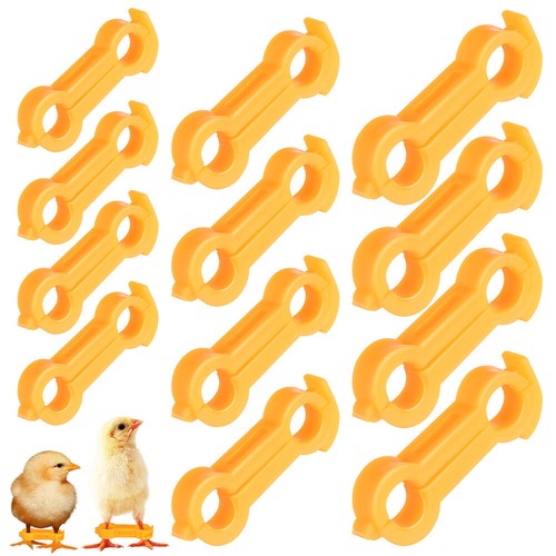 12 Pcs Bird Corrector Baby Leg Brace Chick Corrective Band Alignment Strap
