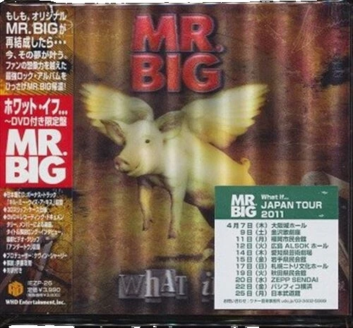 Rock CDs Mr. Big