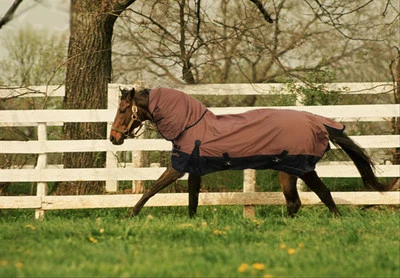 DELTA CANOPIES 1680D TURNOUT WATERFROOF HORSE BLANKET 003 w NECK COVER - Size from 69" to 83"
