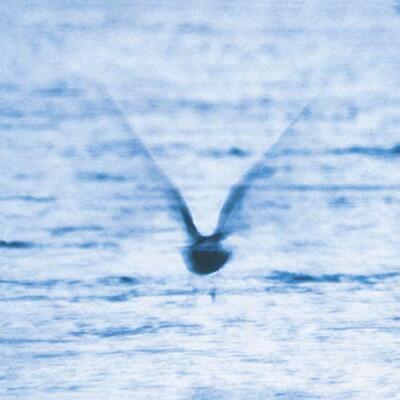 Ryo Fukui - Mellow Dream [VINYL] [CD]