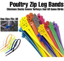 100 pezzi fasce gambe zip colori misti per pollame pulcini polli anatre oche tacchini