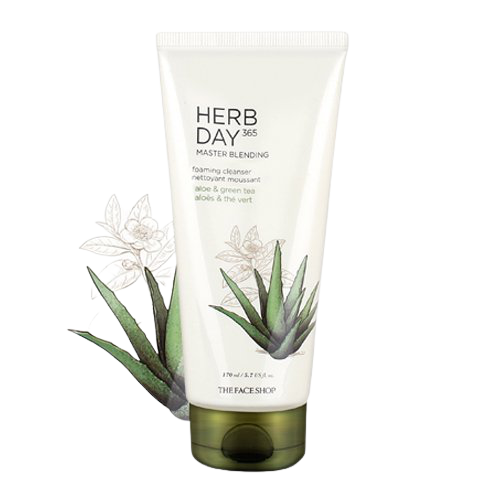 [THE FACE SHOP] Herb Day 365 Master Blending Facial Cleansing Foam Aloe