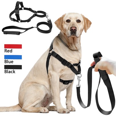 leash harness dog