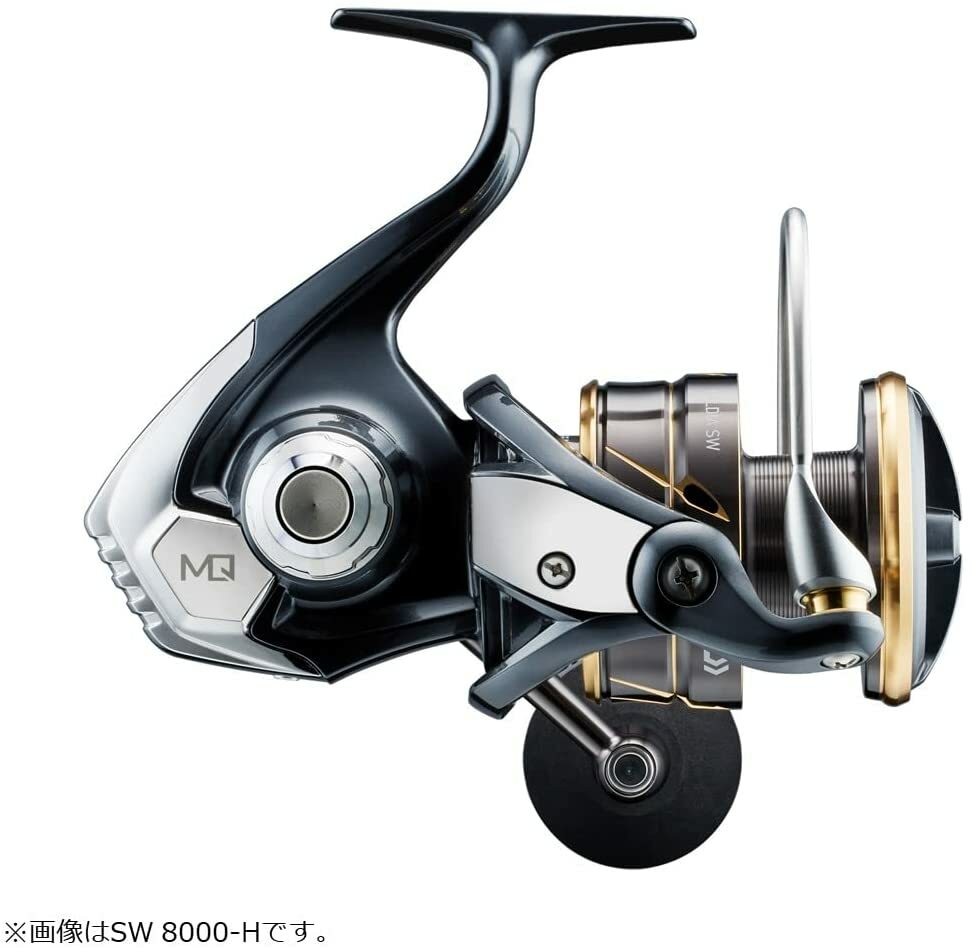 Daiwa 22 Caldia SW - NORSK FLETTERI AS