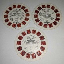 DISNEY FAMILIES SEASONS AND HOLIDAYS VIEW-MASTE RARE HTF SET OF 3 REELS K6 A B C