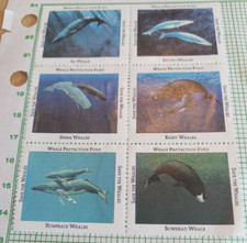 Save the Whales, set of 6 stickers Whale Protection Fund Sei Bryde's Sperm Right