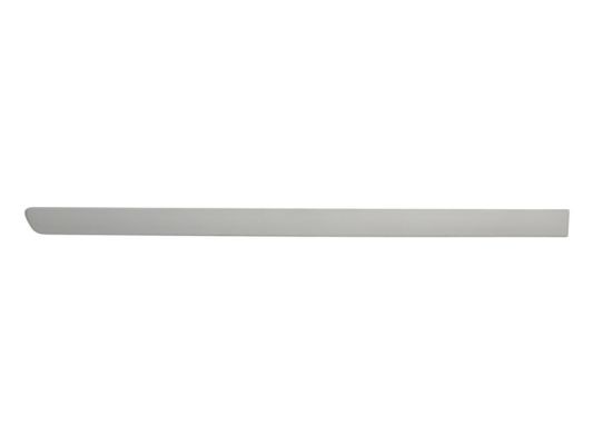 Right Rear BLIC 5703-04-5026578P Trim/Protection Strip, wing for OPEL