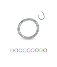 Titanium Hinged Segment Ring Nose Hoop Ear Cartilage 5/16" - 8mm 16 Gauge 16G