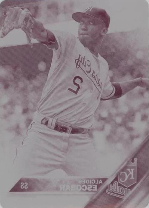 Printing Plate Magenta