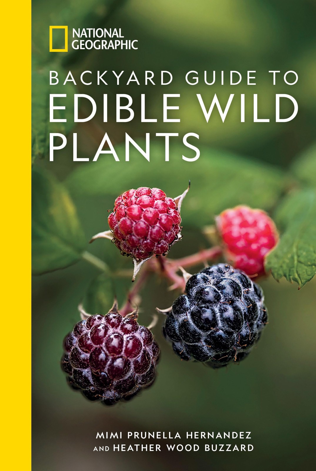 National Geographic Backyard Guide to Edible Wild Plants by Mimi Hernandez NEW - Image 6